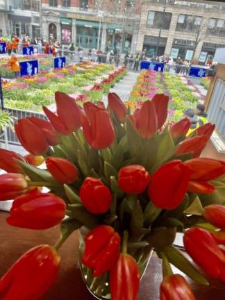<b>Over 20,000 people flocked to the first annual Tulip Day Festival in Union Square on April 7, which christened a new variety of tulip, dubbed Future 400, to commemorate the 400th anniversary of the Dutch landing in the New World.</b> Photo: Jill Brooke/Flower Power Daily