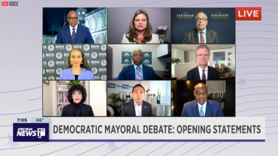 Still from the debate on NY1. Top row, left to right: moderator Errol Louis, Kathryn Garcia, Scott Stringer; second row: Maya Wiley, Eric Adams, Shaun Donovan; third row: Dianne Morales, Andrew Yang, Ray McGuire.