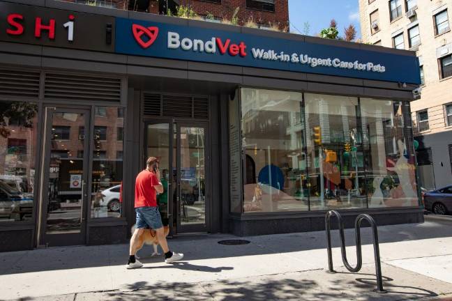 thrive animal clinic near me