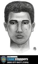 <b>Police release the above sketch of a man they said attacked a 55 year old woman in Central Park on April 6 and are seeking the public’s help in capturing him.</b> Photo: NYPD