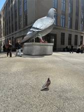 ”Dinosaur” by Iván Argote, the towering pigeon statute on The High Line, is eyed by one of its living counterparts during a recent visit to the sculpture by Straus News.