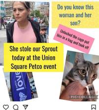 A kitten named Sprout was stolen--allegedly by the woman above (left)--from a display being run by pet rescue operation Fabulous Feline. The theft went down during the Petco opening day festivities at Union Square. Photo: Fabulous Feline Instagram