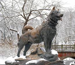 A statue of Bolto, the heroic Alaskan husky who was featured in a 1995 animated film highlighting his heroic role in a life saving serum run to Nome, Alaska in 1925 is still a crowd pleaser--especially for kids. The bronze statue is on Central Park’s East Drive and 67th St. The real life Bolto was on hand in December, 1925 to witness the unveiling of the Frederick Roth sculpture. Photo: NYC Parks Dept.