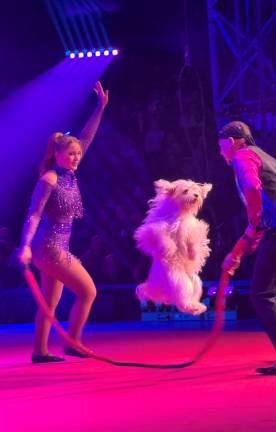 The Olate family and their pups.