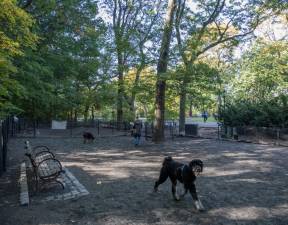 Dog Run 87: What’s in a name?