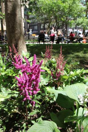 Floral makeover at Battery Park Scrapbook