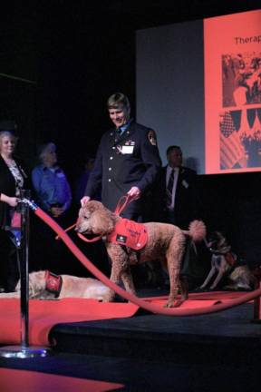 Hunter, a therapy dog with Hudson Valley Paws for a Cause, has been working with the United States Military Academy at West Point since 2013. Photo courtesy of AMC