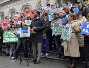 Council Member Ty Hankerson, Chair of the Parks &amp; Recreation Committee, speaks against budget cuts.