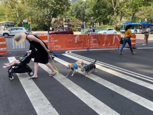 Open Street scene near Madison Square Park. Photo: Darya Foroohar