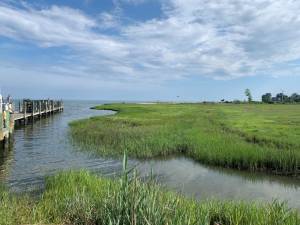 Long Island Sound on the north side is unique; once east of New Haven, there are few cities of consequence, with much of the landmass like this marsh. Beyond the dock on the left are just grasses, wild, free and natural. Photo: Ralph Spielman