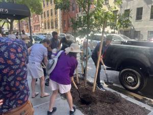 <b>Councilman Bottcher (Right) joins with area activists to put the final efforts into officially planting the 500th street tree in District 3 as he kicks off a new Tree Fund in partnership with the NY Horticulture Society.</b> He’s helping to jump start the tree fund with another $800,000 in city council funds. Photo: Wyatt Obering