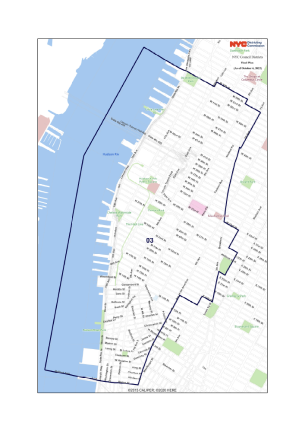 Dem Primary Coverage: City Council District 3