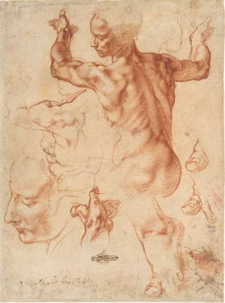 Michelangelo Buonarroti (Italian, Caprese 1475–1564 Rome). “Studies for the Libyan Sibyl (recto); Studies for the Libyan Sibyl and a small Sketch for a Seated Figure (verso).” Ca. 1510–11. Red chalk, with small accents of white chalk on the left shoulder of the figure in the main study (recto); soft black chalk, or less probably charcoal (verso). Sheet; 11 3/8 x 8 7/16 in. The Metropolitan Museum of Art, Purchase, Joseph Pulitzer Bequest, 1924