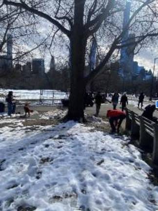 Plenty of work afoot in the Central Park Dog Poop cleanup organized by Olivia Bannerman.