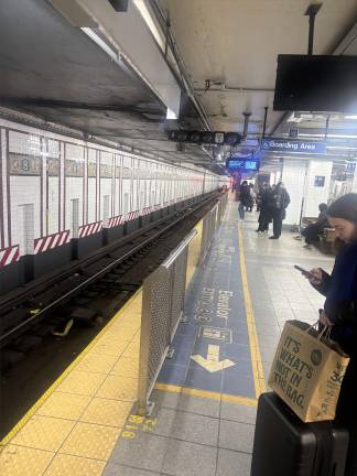Gov. Hochul said her budget will allocate money to install 85 more saftery barriers on platforms in the NYC subway system. The above shows safety barriers at the Eighth Ave. and 14th St. subway station in Manhattan.