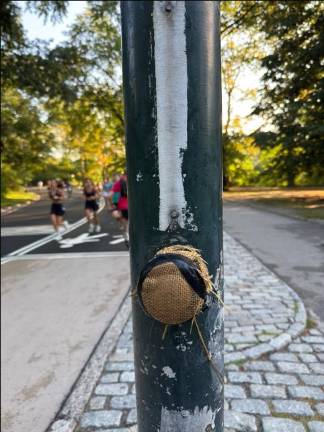 There is no way to activate pedestrian Walk signs at many intersections in Central Park. A controversial pilot program that redesigned the loop road leaves many of the traffic signals covered in burlap sacks, rendering them inoperable. Flashing yellow lights that are supposed to get e-bikes and pedicabs to slow down are routinely ignored, pedestrian advocates say.