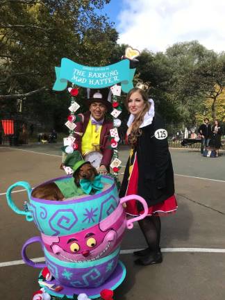 Creativity and originality were on full display at Carl Schurz Park during Sunday's Halloween Howl and Healthy Hound Fair. Photo: Charmaine P. Rice