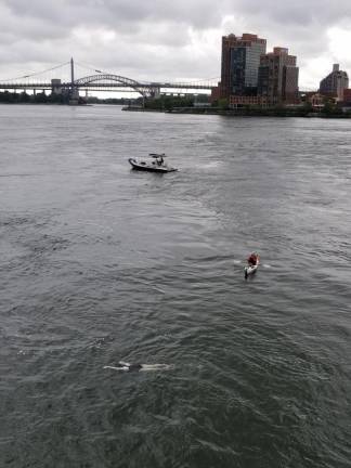 Swimming at Hell Gate. (Photo: Nancy Ploeger)