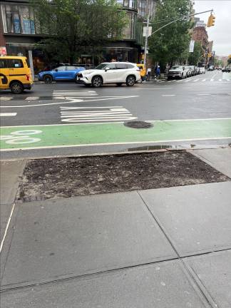 Missing Tree #3, on Eighth Avenue in front of the West Village Veterinary Hospital.