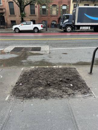 Missing Tree #2, near 330 W. 14th St.