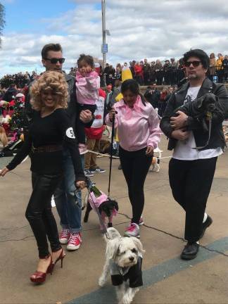 Among other criteria, judges tried to determine how comfortable a dog was in its costume. "That’s a big component in our decision-making," one judge said. Photo: Charmaine P. Rice