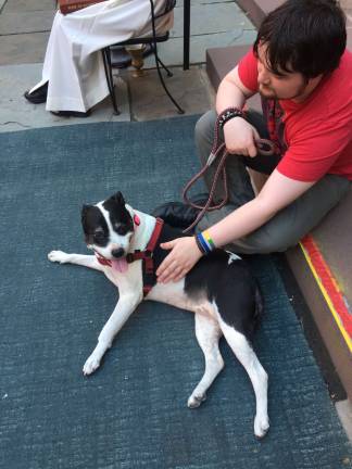 Pit bull-terrier Penelope at the church with her owner. Photo: Estelle Pyper