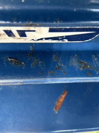 Inside the insert of the mail box where the glue traps are inserted