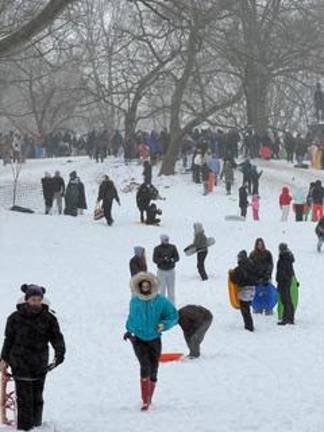 Children (and perhaps a few adults) sled at Central Park on Jan. 25.