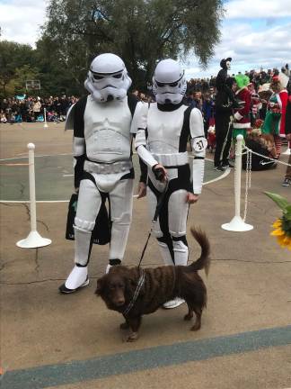 Getups weren't just reserved for dogs. Photo: Charmaine P. Rice