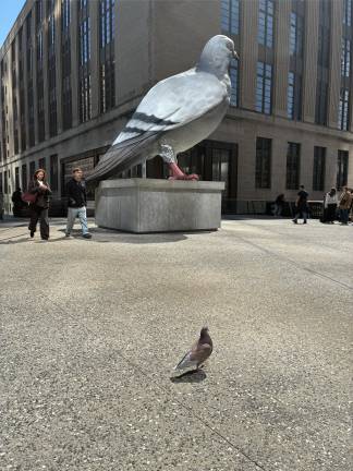 ”Dinosaur” by Iván Argote, the towering pigeon statute on The High Line, is eyed by one of its living counterparts during a recent visit to the sculpture by Straus News.