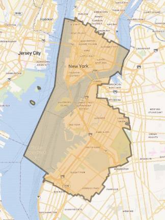 Dan Goldman faces Brad Lander in the Democratic primary for NY-10.