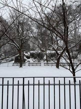 Snow falls benches and trees inside Central Park.