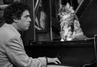 Cool cat: Spike Wilner at the piano.