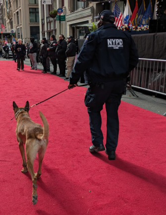 NYPD Emergency Service canine (and friend).