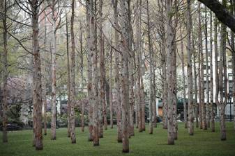 Maya Lin (American, b. 1959). Ghost Forest, 2021. Courtesy the artist and Madison Square Park Conservancy. Photo: Andy Romer