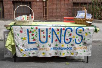 Tabling of LUNGS organization (Loisaida United Neighborhood Gardens) on 8th Street and Avenue B.