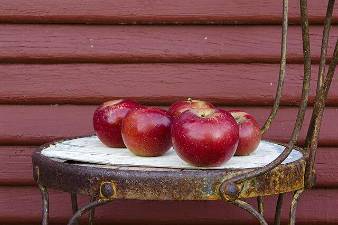That sheen on an apple is likely from a naturally occurring wax that is applied after harvesting, to replace the natural resin that was wiped away when the fruit is washed during processing.