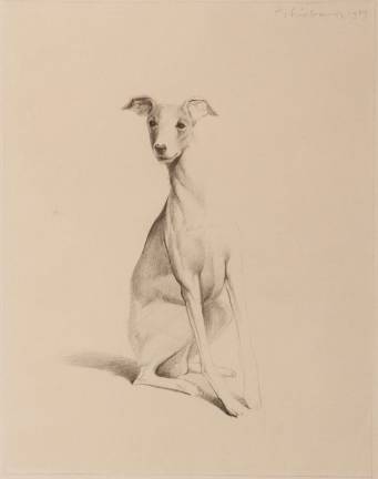 "Dog," 1967, graphite. Private collection. © Wayne Thiebaud/Licensed by VAGA, New York, N.Y.
