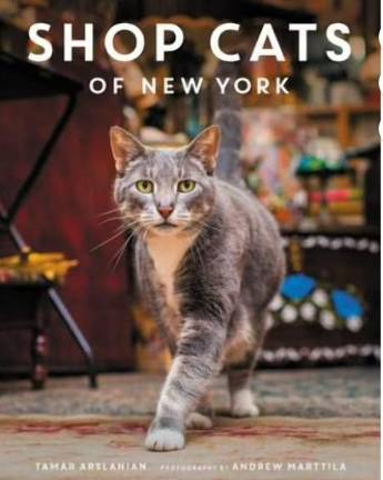 Shop cats have been immortalized in a newly revised 176 page coffee table book by Tamar Arslanian with photos by reknowned cat photographer Andrew Martilla. But the so-called “Bodega Cat” bill by term-limited city council member Keith Powers will have to wait to new city council session before they can be legalized.