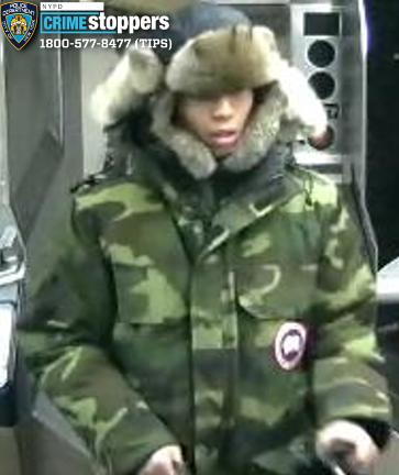 Wanted for dog attack at Union Square.