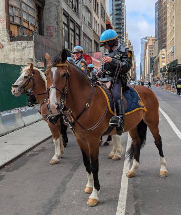 NYPD Mounted in the staging area.