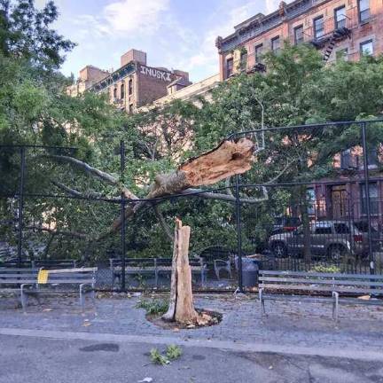 Alex Bailey, a user on ‘Nextdoor,’ shared a photo of a fallen tree that had completely toppled over and broken the fence in a park in the West Village.