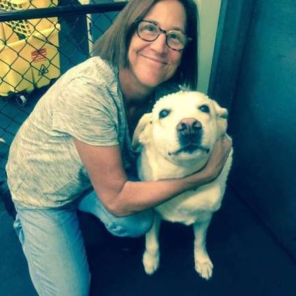 Gail Nord's Playground Pups is billed as "a neighborhood hangout for your dog"
