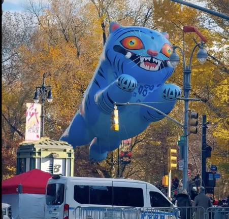 Derpy Tiger at Macy’s Thanksgiving Day Parade 2025.