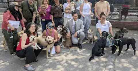 ‘Just Paws Eviction’ Bill Seeks End to No-Pets Housing Policies