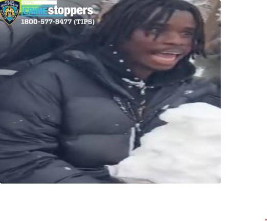 Police said they arrested 27 year old Gusmane Coulibaly in connection with a snowball incident in Washington Sq. Park on Feb. 23 where a mob pelted cops with snowballs and ice, injuring several officers.
