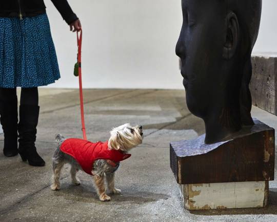 Rocky and Jessica Dawson at Galerie Lelong &amp; Co appreciating work by Jaume Plensa. Photo: Jason Falchoo