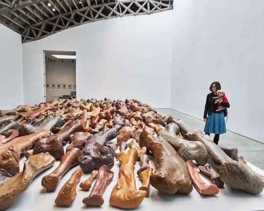 Art critic and professor Jessica Dawson and Rocky take in a few of Allan McCollum's "Lost Objects" at Mary Boone Gallery. Photo: Jason Falchoo