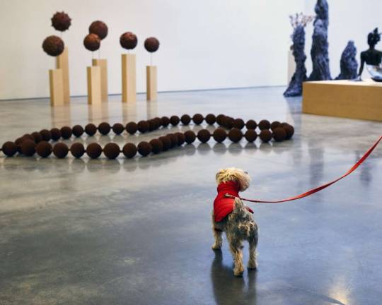 Rocky checks out work by Wangechi Mutu at the Barbara Gladstone Gallery. Photo: Jason Falchook