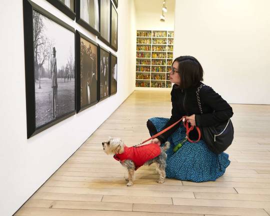 Art critic and professor Jessica Dawson and Rocky explore work by Yinka Shonibare at James Cohan. Photo: Jason Falchoo